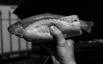 Tour Cooking: Lukewarm trout on baguette.